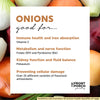 Onion: History, Uses, and Benefits