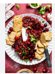 Cranberry Salsa Large